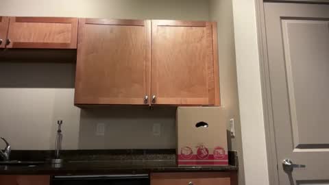 irissweets online show from 04/10/26, 07:13