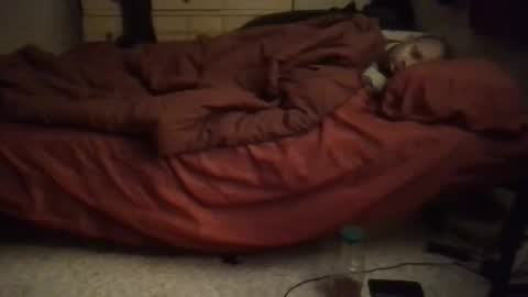 Snapshot of ironcogking chatting on 02/02/26, 12:42 SexEngine88 online show from 02/02/26, 12:42