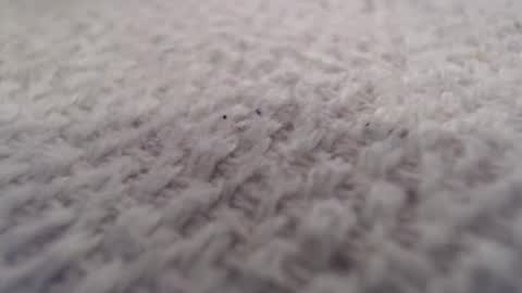 Snapshot of ironman383838 chatting on 10/20/25, 09:59 ironman383838 online show from 10/20/25, 09:59