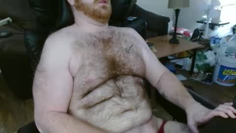 Snapshot of irreversible0 chatting on 02/19/26, 04:52 Matt online show from 02/19/26, 04:52