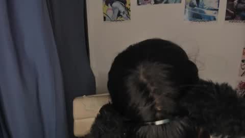 isa 3 online show from 03/03/25, 02:47