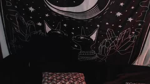 Snapshot of isabella__dark chatting on 01/08/25, 01:42 online show from 01/08/25, 01:42