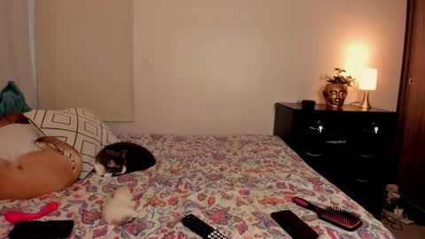 Isa online show from 10/31/25, 10:00