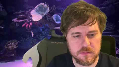 pain online show from 12/04/25, 12:53