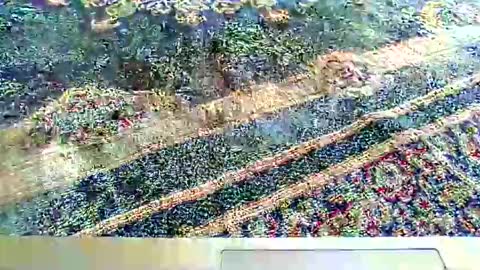 Snapshot of its_me_2323 chatting on 10/05/25, 07:28 its_me_2323 online show from 10/05/25, 07:28