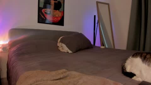 Snapshot of itsbellax chatting on 04/05/26, 01:52 Isabella online show from 04/05/26, 01:52