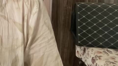 Raje online show from 11/26/25, 07:31