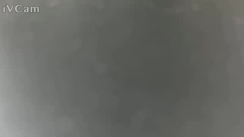 itsnotmeimnew online show from 06/15/26, 05:04