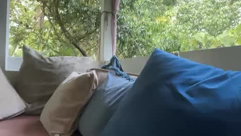 Snapshot of ivysagex chatting on 09/12/25, 01:17 ivysagex online show from 09/12/25, 01:17