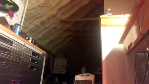 That  Guy  online show from 01/28/25, 02:11