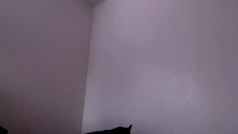 Mugen online show from 02/04/25, 06:27