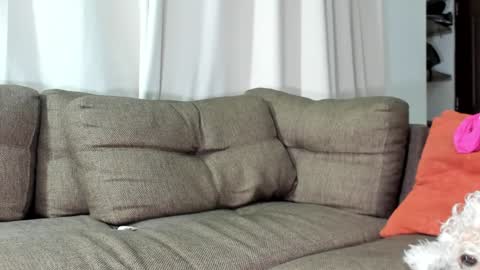 Calix  Independient model Insta and twt Calixsnake online show from 01/23/25, 05:35