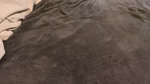 Snapshot of j_m12397 chatting on 02/27/26, 03:17 j_m12397 online show from 02/27/26, 03:17