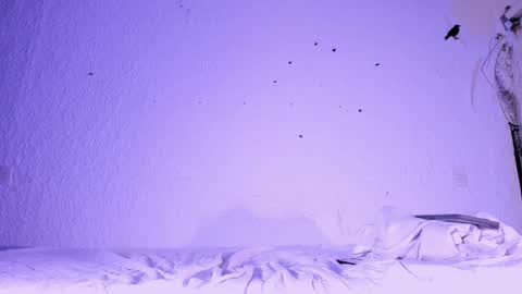 j_martony online show from 11/05/25, 02:17