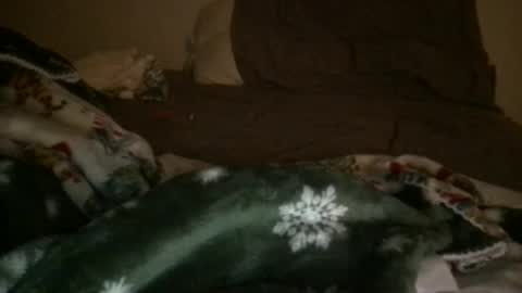 j_reyes24 online show from 01/23/25, 06:45