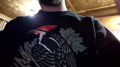 Dess online show from 01/05/25, 02:49