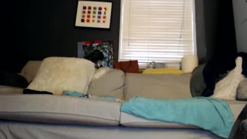 Snapshot of jackie_sugar chatting on 10/31/25, 02:18 Jackie online show from 10/31/25, 02:18