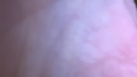 Snapshot of jackjackerman chatting on 05/16/26, 02:49 jackjackerman online show from 05/16/26, 02:49
