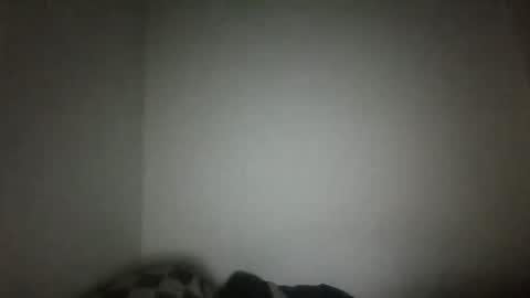 jack online show from 02/15/25, 04:47