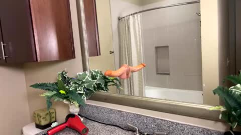 Snapshot of jacksoftboy chatting on 02/12/26, 03:45 Jack Xavier Missy online show from 02/12/26, 03:45