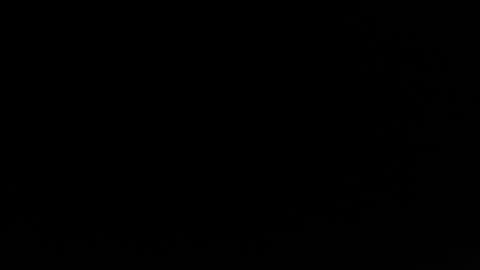 jacksonp41 online show from 05/20/26, 11:11