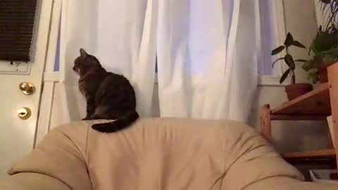 Snapshot of jacobmotes chatting on 10/19/25, 11:00 Jacob online show from 10/19/25, 11:00