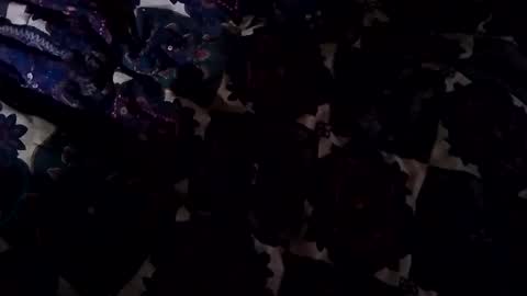 Snapshot of jadon2bnu2nt chatting on 02/02/25, 04:11 Jason online show from 02/02/25, 04:11