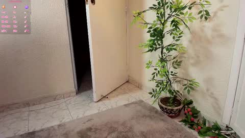 Jahgio online show from 11/19/25, 07:08