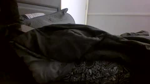 Snapshot of jamacianmehorny chatting on 01/28/25, 10:12 Jamacian online show from 01/28/25, 10:12