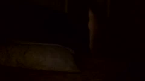 Snapshot of jamacianmehorny chatting on 02/02/25, 05:59 Jamacian online show from 02/02/25, 05:59