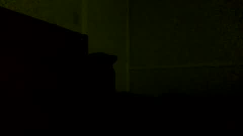 Snapshot of jamacianmehorny chatting on 02/21/25, 11:54 Jamacian online show from 02/21/25, 11:54