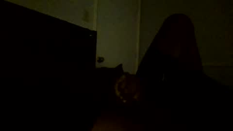 Snapshot of jamacianmehorny chatting on 02/25/25, 11:11 Jamacian online show from 02/25/25, 11:11