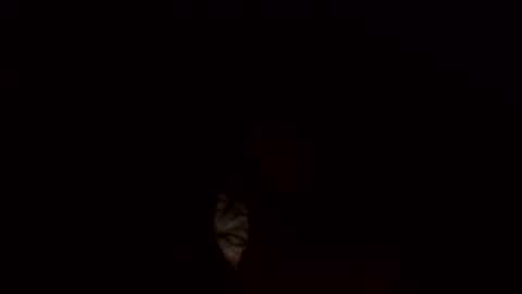 Snapshot of jamacianmehorny chatting on 03/03/25, 10:17 Jamacian online show from 03/03/25, 10:17