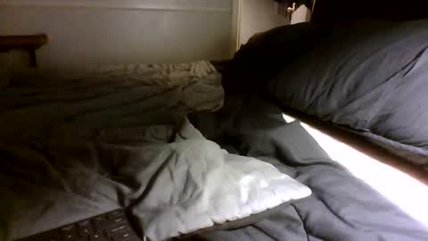 Snapshot of jamacianmehorny chatting on 09/30/25, 03:00 Jamacian online show from 09/30/25, 03:00