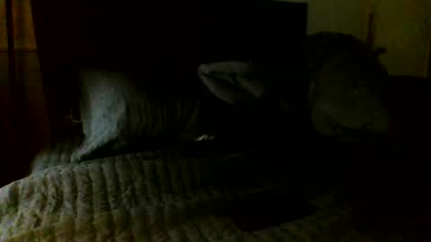 Snapshot of jamacianmehorny chatting on 11/07/25, 05:07 Jamacian online show from 11/07/25, 05:07