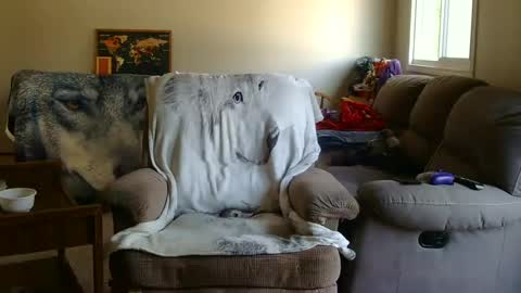 Snapshot of jameswolf777 chatting on 09/09/25, 05:34 jameswolf777 online show from 09/09/25, 05:34