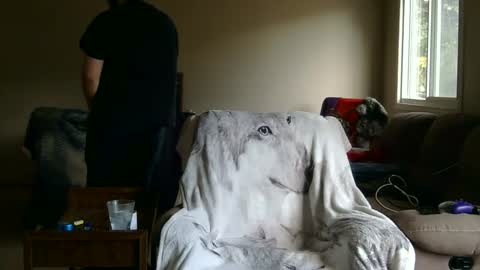 Snapshot of jameswolf777 chatting on 09/27/25, 02:44 jameswolf777 online show from 09/27/25, 02:44