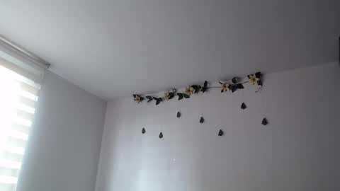 Jane online show from 01/20/25, 08:18