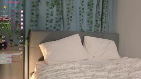 janetfletcher online show from 02/11/25, 12:37