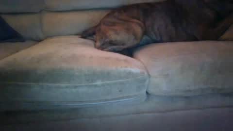 Snapshot of janks1963 chatting on 09/21/25, 04:47 janks1963 online show from 09/21/25, 04:47