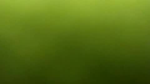 jarret8222 online show from 03/05/26, 09:27