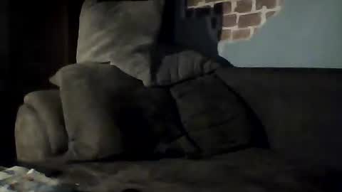 Jan88 online show from 02/22/25, 09:04