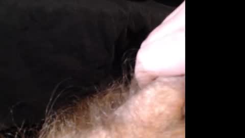 Snapshot of jasoncummings chatting on 12/14/24, 02:53 Jason online show from 12/14/24, 02:53