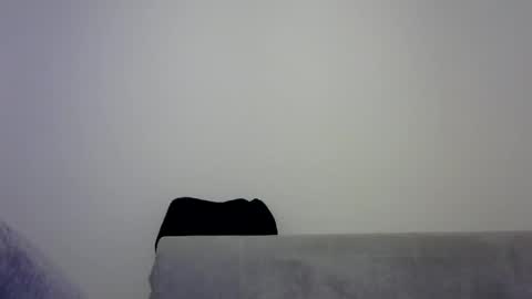 jaspal55 online show from 11/09/25, 02:04