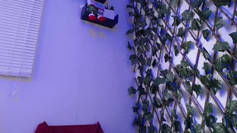 JKing  online show from 12/17/24, 07:04