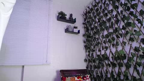 JKing  online show from 12/29/24, 03:11