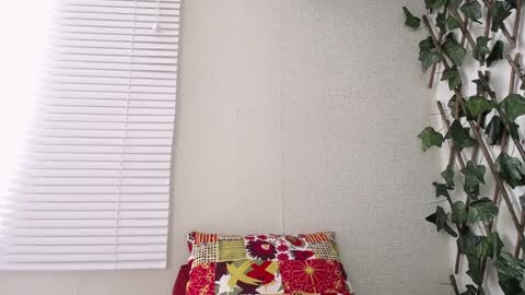 JKing  online show from 01/08/25, 05:05