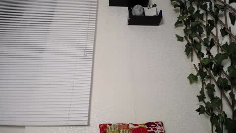 JKing  online show from 01/15/25, 02:49