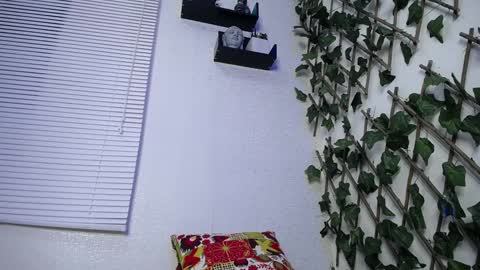 JKing  online show from 01/24/25, 02:49