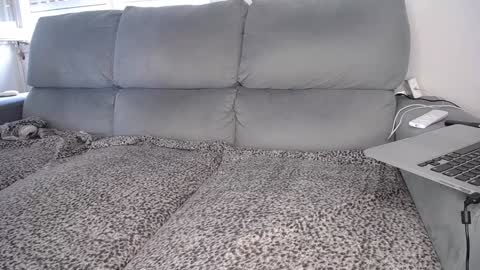 Snapshot of javierandaniel chatting on 12/07/24, 04:47 Javier online show from 12/07/24, 04:47